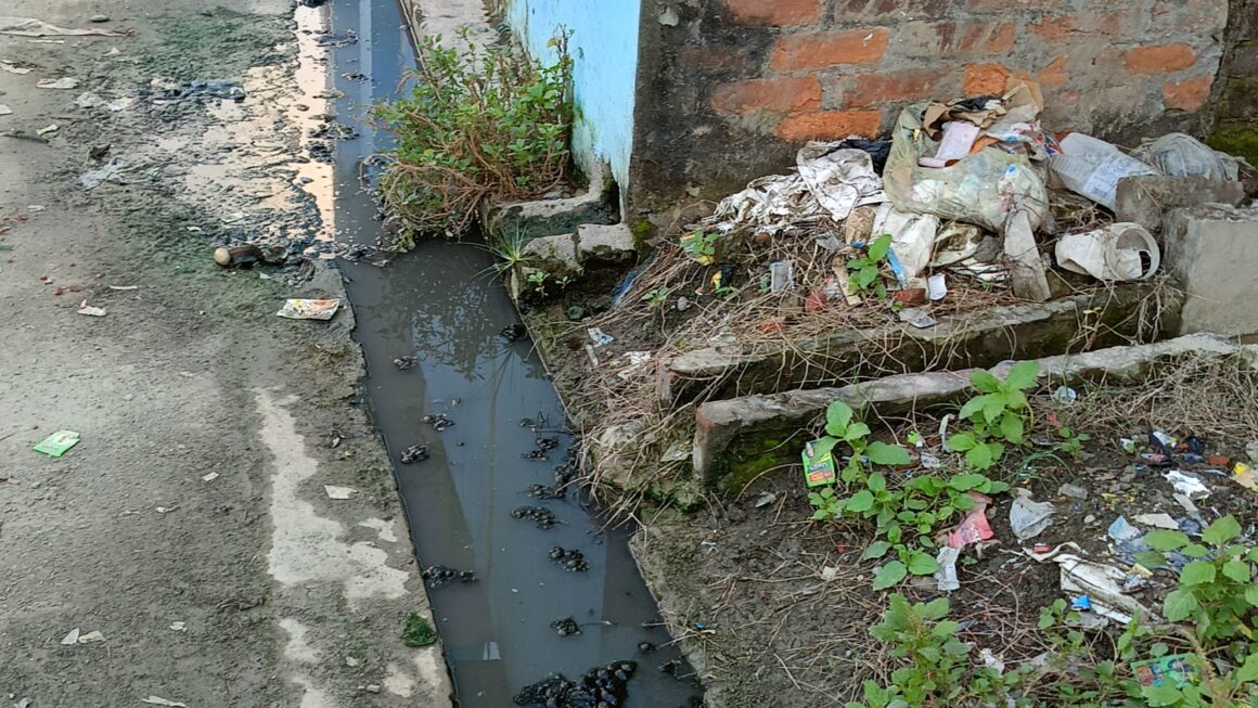 ग्राम पंचायत धरैची के टोला सेमरहनी में सफाई व्यवस्था नदारद, सड़क पर बहुत गन्दा पानी